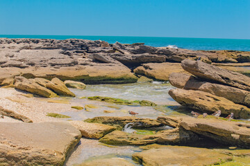 mexico_natural_jungla_mar_verde_azul_cascadas_conchas_arboles_piedras_agua_hojas_arena_montañas_atardecer_autopista