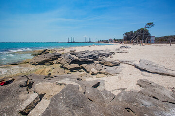 mexico_natural_jungla_mar_verde_azul_cascadas_conchas_arboles_piedras_agua_hojas_arena_montañas_atardecer_autopista