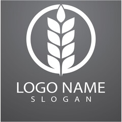 Agriculture wheat Logo Template vector icon design