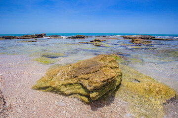 mexico_natural_jungla_mar_verde_azul_cascadas_conchas_arboles_piedras_agua_hojas_arena_montañas_atardecer_autopista