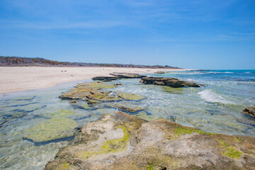 mexico_natural_jungla_mar_verde_azul_cascadas_conchas_arboles_piedras_agua_hojas_arena_montañas_atardecer_autopista