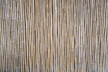 bamboo fence texture as design background