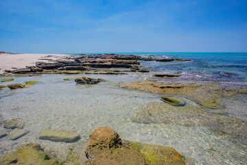 mexico_natural_jungla_mar_verde_azul_cascadas_conchas_arboles_piedras_agua_hojas_arena_montañas_atardecer_autopista