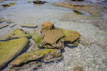 mexico_natural_jungla_mar_verde_azul_cascadas_conchas_arboles_piedras_agua_hojas_arena_montañas_atardecer_autopista