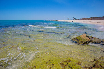 mexico_natural_jungla_mar_verde_azul_cascadas_conchas_arboles_piedras_agua_hojas_arena_montañas_atardecer_autopista