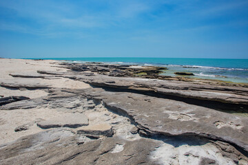 mexico_natural_jungla_mar_verde_azul_cascadas_conchas_arboles_piedras_agua_hojas_arena_montañas_atardecer_autopista