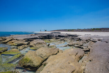 mexico_natural_jungla_mar_verde_azul_cascadas_conchas_arboles_piedras_agua_hojas_arena_montañas_atardecer_autopista