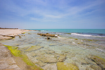 mexico_natural_jungla_mar_verde_azul_cascadas_conchas_arboles_piedras_agua_hojas_arena_montañas_atardecer_autopista