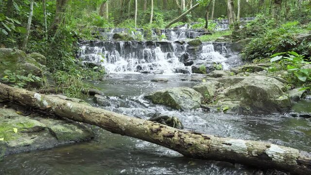 Beautiful stream and waterfall with log in tropical forest at Namtok Samlan National Park, Saraburi, Thailand