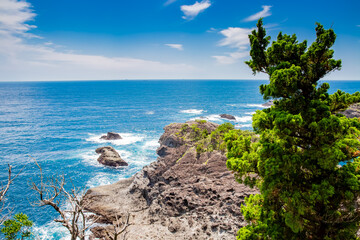 Fototapeta premium 石廊崎 