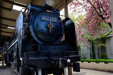 飛鳥山公園のD５１