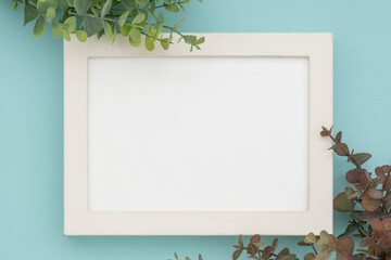 植物　メッセージボード