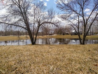 Small pond with trees in the park in spring.