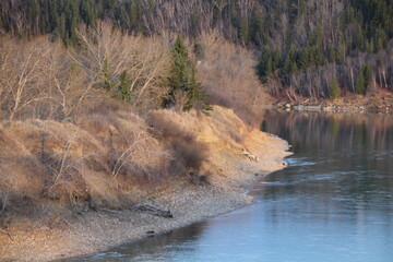 Evening Light On The Riverbank, Gold Bar Park, Edmonton, Alberta