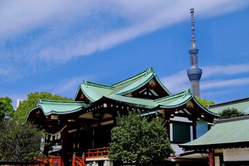 東京　亀戸天満宮