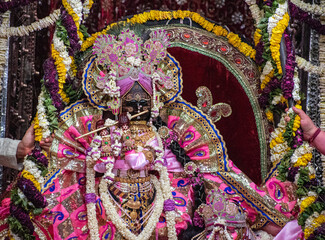 Holi in Banke Bihari Temple Vrindavan