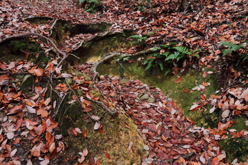 山道11