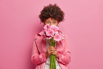 Gentle curly haired Afro American female model smells bunch of pink gerberas holds beautiful flowers received on birthday or special occasion dressed in stylish jacket poses over rosy background