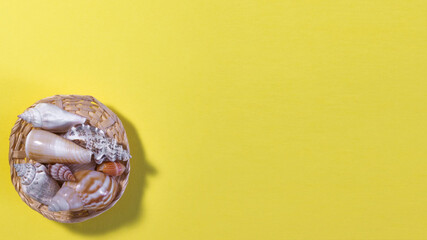 Top view of baskets with seashells on a yellow background. Summer concept. Copy space.Flat lay.
