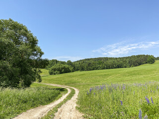 rural dirt road through green fields at summer sunny day