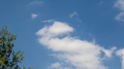 The shape of a horse rearing up in the clouds