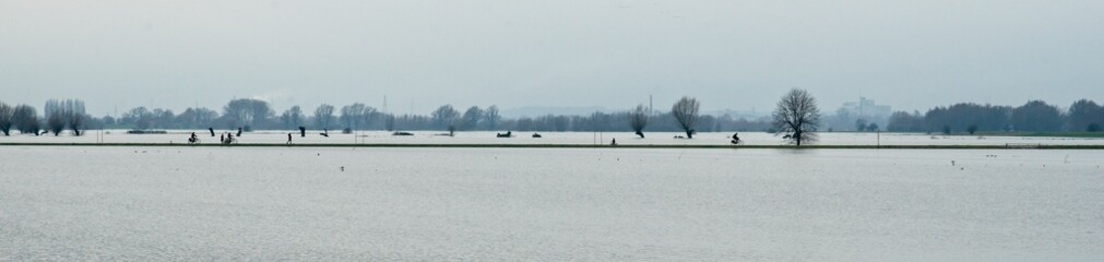 Heteren Netherlands - 5 February - High water in river Rhine