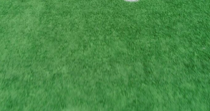 Overhead shot of the texture of the artificial grass of a sports field