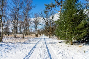 Obraz premium Otterlo Netherlands - 12 February 2021 - National Park Hoge Veluwe in the Winter