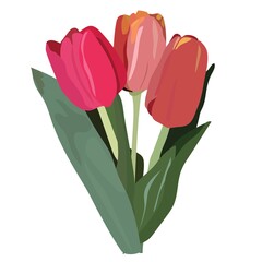 Bouquet of three tulips, a gift for the holiday, wedding, birthday, March 8, Valentine's Day. Vector stock illustration.