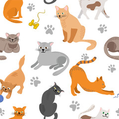 Kitty seamless pattern. Different cat breeds flat illustration. Color cute cats background, colorful kittens texture for animals baby fabric design, decor. Decorative background with various pet