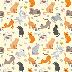 Kitty seamless pattern. Different cat breeds flat illustration. Color cute cats background, colorful kittens texture for animals baby fabric design, decor. Decorative background with various pet