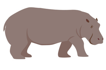 Color illustration of a hippopotamus. Cartoon illustration of a hippopotamus. Isolated vector object on white background. Funny animal character