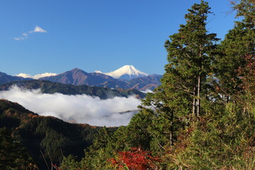 高尾山から見える雲海に浮かぶ富士山