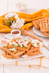 Waffles with colourful marshmallow.