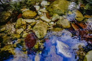 mexico_natural_jungla_mar_verde_azul_cascadas_conchas_arboles_piedras_agua_hojas_arena_montañas_atardecer_autopista