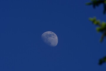 Mond