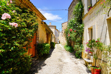 Fototapeta na wymiar rose flowers alley in rions village in Gironde France