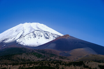 【静岡】水ケ塚公園から見る春の富士山
