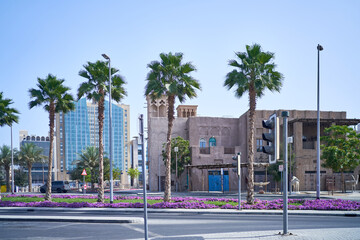 palm trees grow against the blue sky