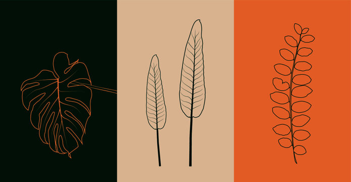 Line drawing vector monstera leaf and tree leaves. Modern single line art, aesthetic contour, for home decor.