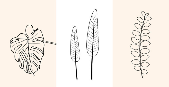 Line drawing vector monstera leaf and tree leaves. Modern single line art, aesthetic contour, for home decor.