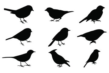 Silhouettes of birds, set, isolated on a white background. Birds: great t sign, wagtailsymbol, robin icon, blue tit, chickadee, nuthatch, willow tit. Vector stock illustration