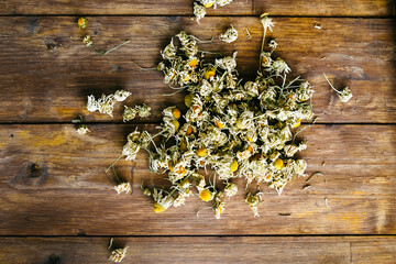Dry chamomile on a wooden background. Top view, space for text. Wooden background. Ecological products. Health. Herbs.