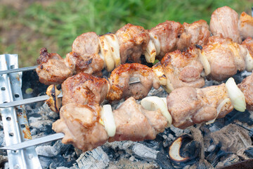 Barbecue on coals in the summer outdoors