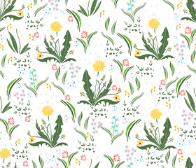 Fototapeta na wymiar Floral summer meadow seamless pattern. Hand drawn wild grasses, dandeloins, meadow flowers, lilies of the valley, daisies. Hand-drawn backdrop for invitations, fabric, decor.