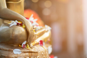 Close up Buddha statue with raw of Brass.  Hand of buddha statue with leaf on the lap of buddha....