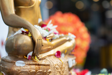 Close up Buddha statue with raw of Brass.  Hand of buddha statue with leaf on the lap of buddha. Believe, Culture, Traditional. Buddhist believe concept. Calm concept. meditation concept.