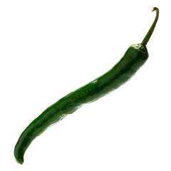 Chili or sweet pepper isolated on white background