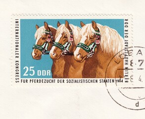 Haflinger Horse (Equus ferus caballus). International Congress for horse breeding, stamp Germany...