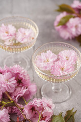 Two champagne glasses with splashes of champagne and pink cherry blossom on a grey surface